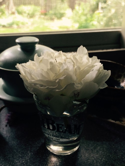 In a shot glass--- Vermis Meridiem now officially features photos ---for fun.