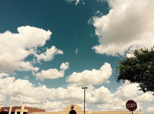 Beige Colored Nothingness 