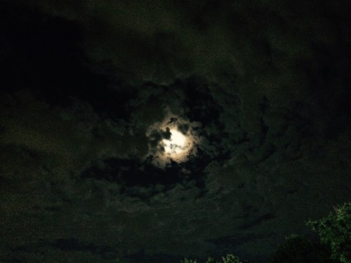 A relief---it's never truly. Pitch. Black