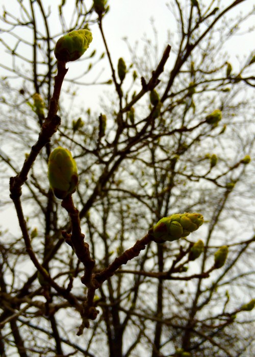 promises of renewal await