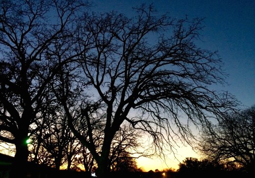 like those of our own