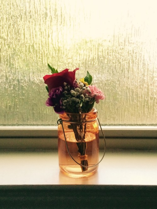  a new life in the same jar