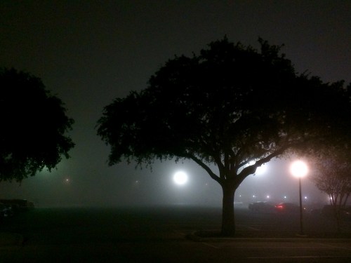 light's guidance in dense fog