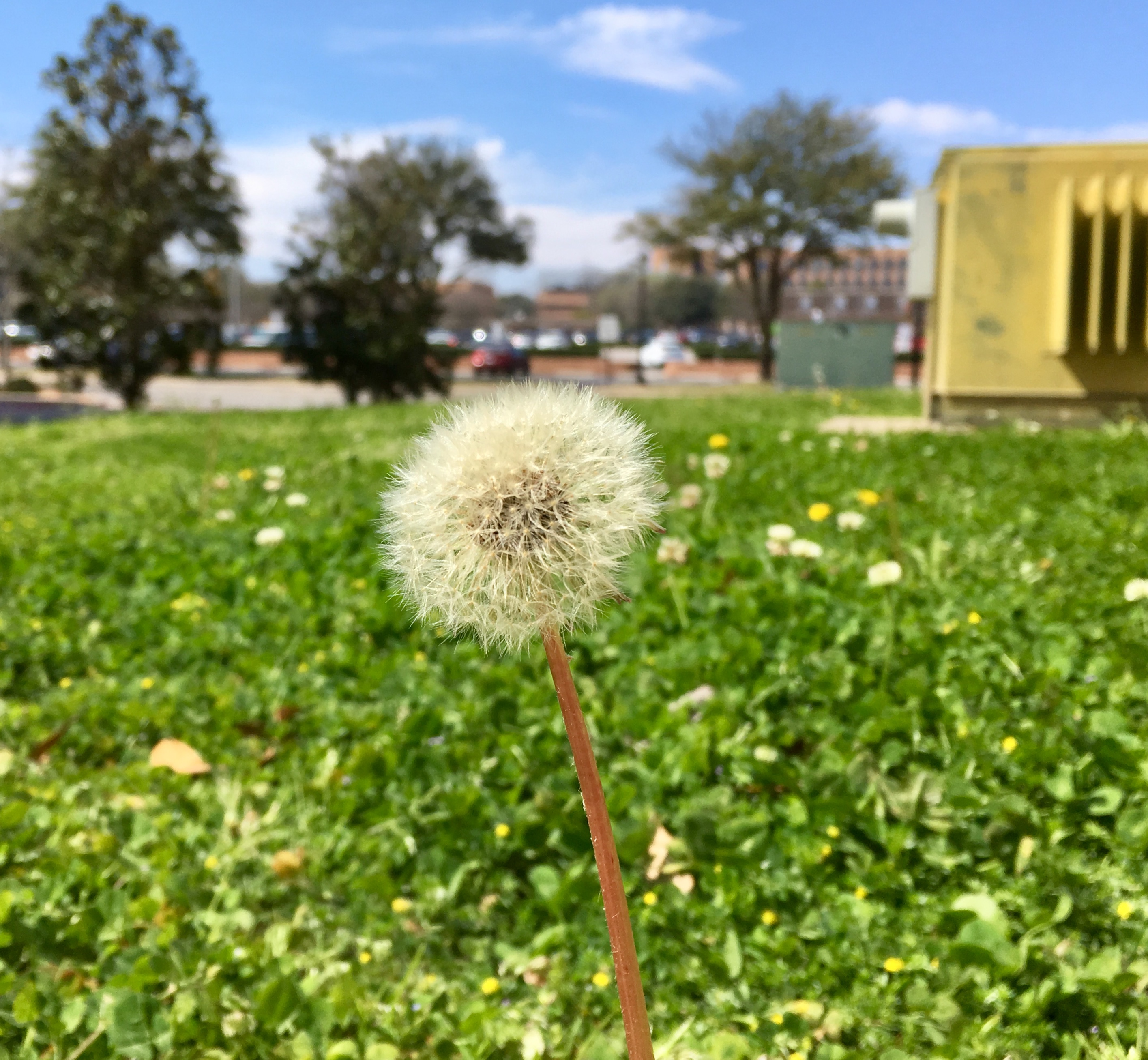 AD04D591-4F22-4EF2-AD78-28F526A6A531